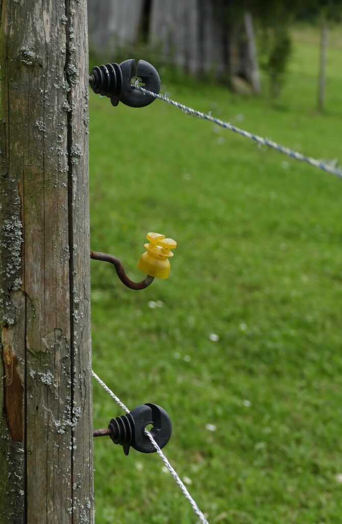 pasture fence, insulating pole, wire, cow pasture, pasture, barrier, electric fence, post, insulators, voltage, fence system, wooden posts, stake, delimitation, limitation, enclosure, agriculture, fence post, weathered, electric fence, electric fence, electric fence, electric fence, electric fence